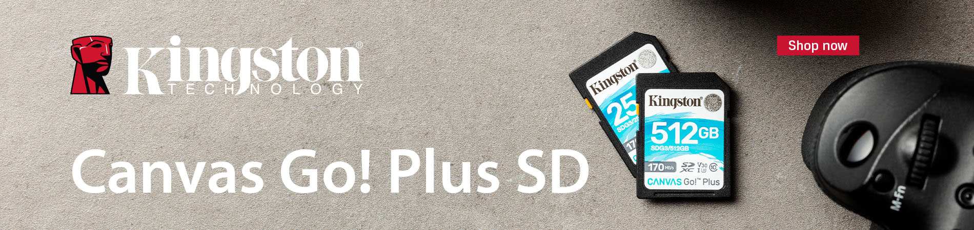 Kingston Canvas Go! Plus SD