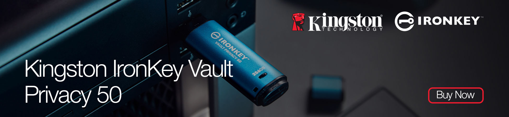 Kingston IronKey Vault Privacy 50