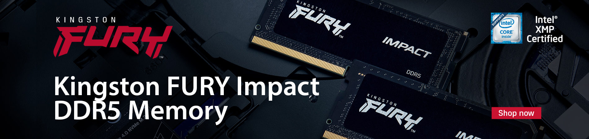 Kingston FURY Impact DDR5 Memory at Target Components