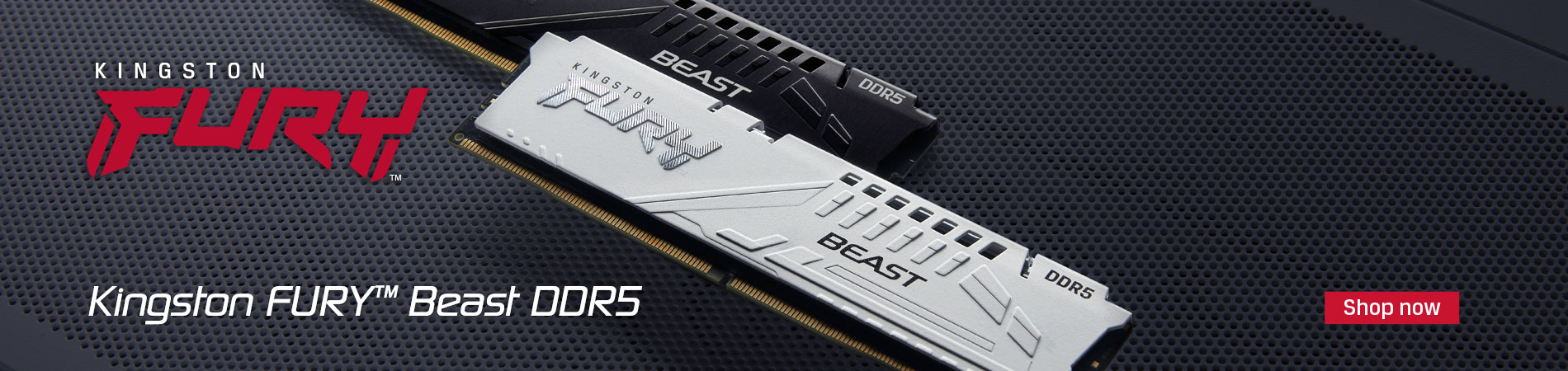 Kingston FURY Beast DDR5