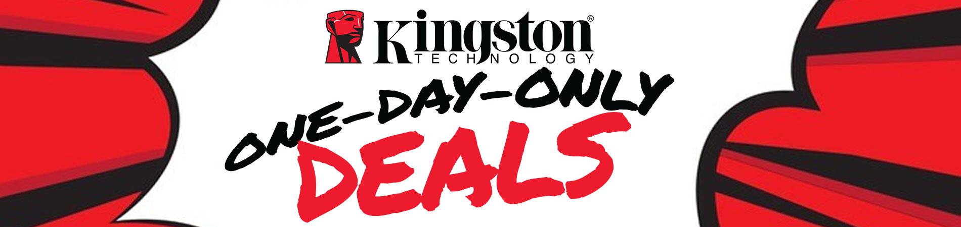 Kingston One-Day-Only Deals