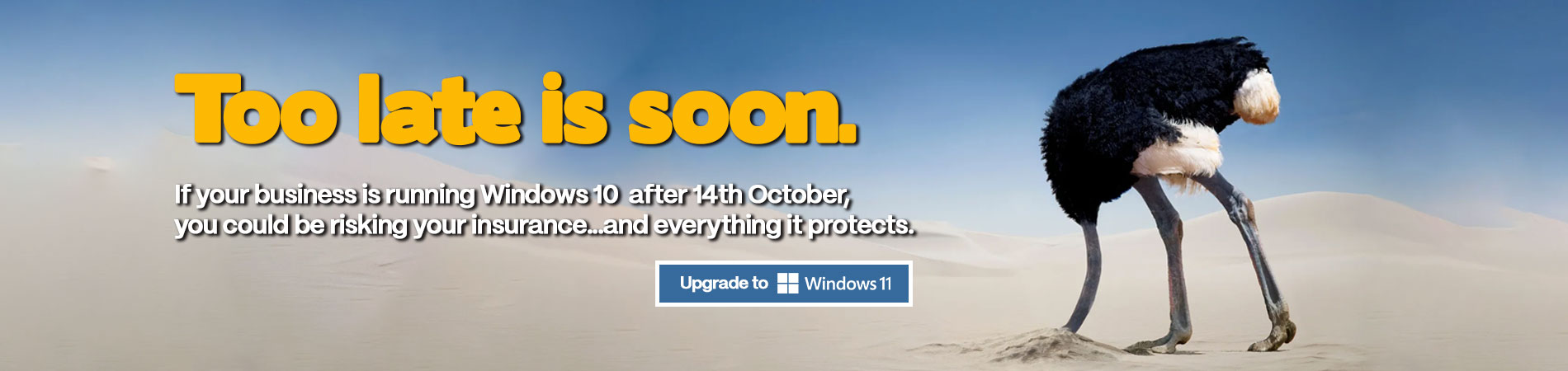 End of Windows 10 Support 03.07.25