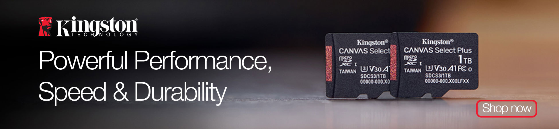 Kingston Canvas Select Plus