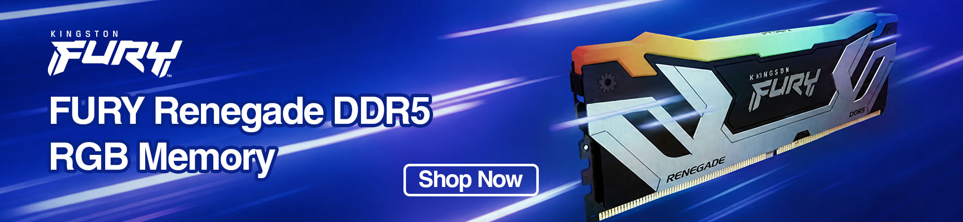 Kingston Fury Renegade DDR5 RGB Memory