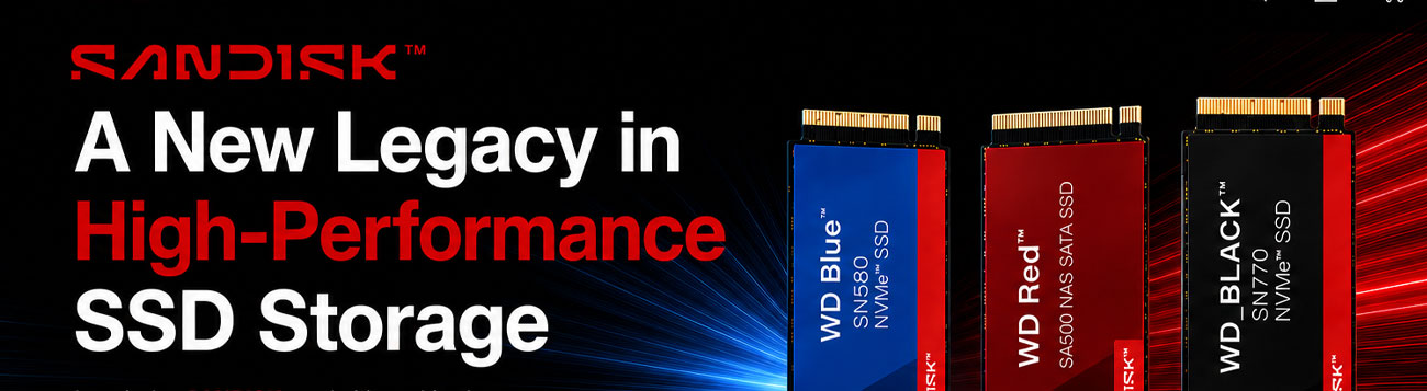 SANDISK SSDs