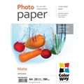 COLORWAY&nbsp;PM190020A4