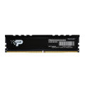PATRIOT&nbsp;PSD516G560081