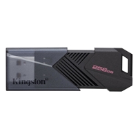 KINGSTON DTXON/256GB