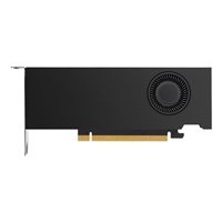 PNY VCNRTXA2000-12GB-SB
