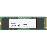 CRUCIAL CT1000E100SSD8