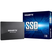 GIGABYTE GP-GSTFS31100TNTD