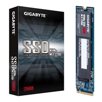 GIGABYTE GP-GSM2NE3256GNTD