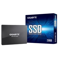 GIGABYTE GP-GSTFS31256GTND