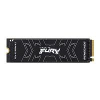 KINGSTON SFYRD/4000G