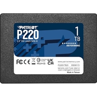 PATRIOT P220S1TB25