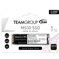 TEAM TM8PS7001T0C101