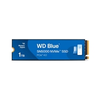 WD WDS100T4B0E-00CNZ0