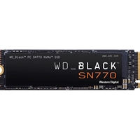 WD WDS100T3X0E