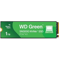 WD WDS100T4G0E-00CPSO  