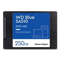 WD WDS250G3B0A