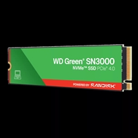 WD&nbsp;WDS500G4G0E