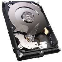 SEAGATE REFURBST8000VN004