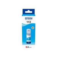 EPSON C13T06B240