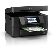 EPSON C11CJ06401