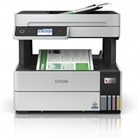 EPSON&nbsp;C11CJ89401