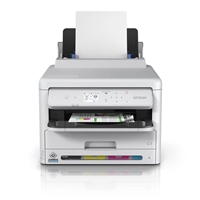 EPSON&nbsp;C11CK25401BY