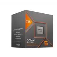 AMD 100-100001237BOX