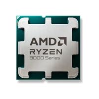 AMD 100-100001590BOX