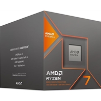 AMD 100-100001236SBX
