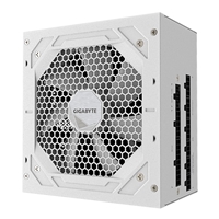 GIGABYTE GP-UD750GM PG5 ICE