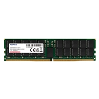 ADATA&nbsp;AD5R560064G40-SHYA