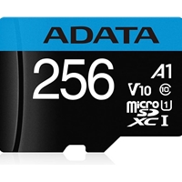 ADATA AUSDX256GUICL10A1RA1