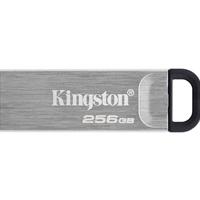 KINGSTON DTKN/256GB 