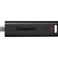 KINGSTON DTMAX/256GB