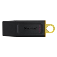 KINGSTON DTX/128GB