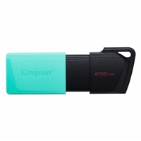 KINGSTON DTXM/256GB