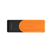 KINGSTON DTXS/256GB