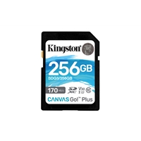 KINGSTON SDCG3/256GB