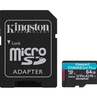KINGSTON SDCG4/256GB