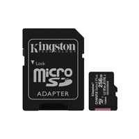 KINGSTON SDCS2/256GB