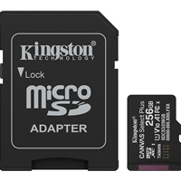 KINGSTON&nbsp;SDCS3/256GB