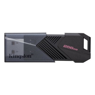 SDKIN-DTXON256GB