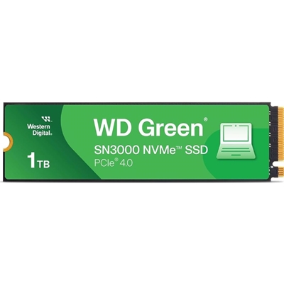HDWES-WDS100T4GE