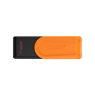 SDKIN-DTXS256GB