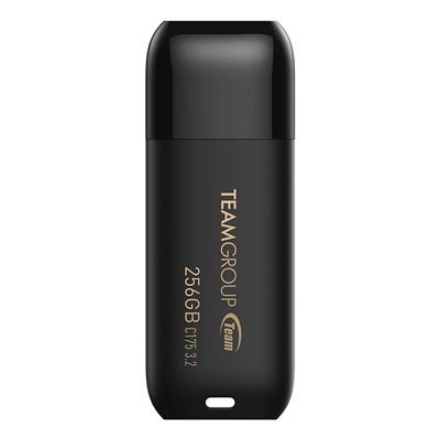 SDTEA-C175256GB