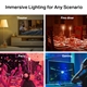 /productImages/80/215637.JPG